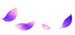 Education illustration